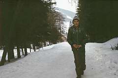 11: 1981_I_13