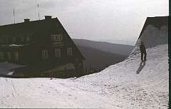 15: 1981_I_17