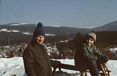 17: 1981_I_19