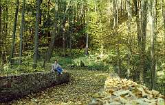 13: 1999_I_13