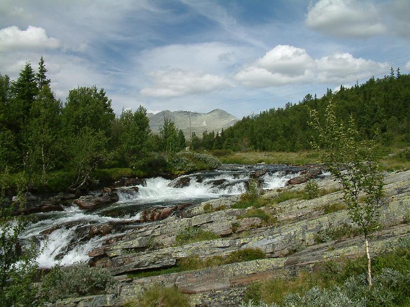 Original image