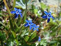 4: 1_DSCF0011