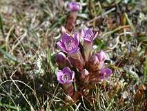 5: 1_DSCF0013