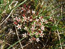 10: 1_DSCF0032