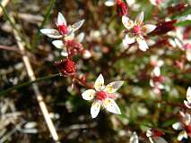 11: 1_DSCF0044