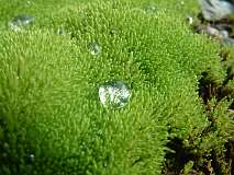 49: 1_DSCF0106