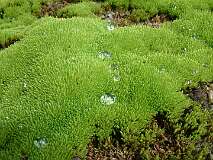 51: 1_DSCF0108