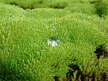 52: 1_DSCF0109