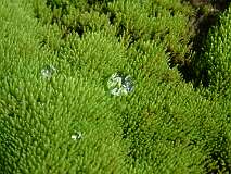 53: 1_DSCF0111