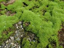 54: 1_DSCF0115