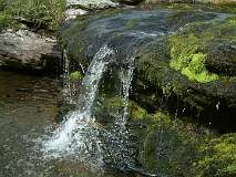 57: 1_DSCF0118
