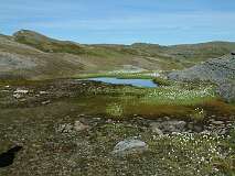 58: 1_DSCF0121