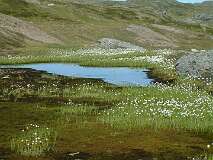 59: 1_DSCF0122