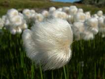 67: 1_DSCF0135