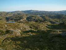 77: 1_DSCF0155