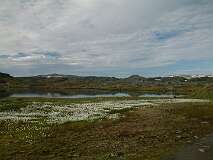 85: 1_DSCF0186