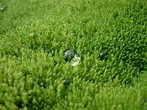 91: 1_DSCF0193