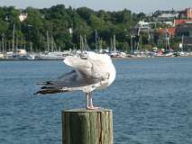 116: 1_DSCF0238