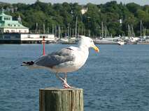117: 1_DSCF0239