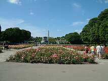 129: 1_DSCF0255