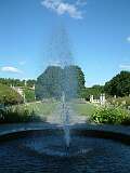 134: 1_DSCF0260