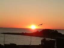 156: 1_DSCF0289