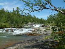 195: 2_DSCF0240