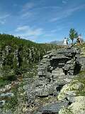 196: 2_DSCF0241