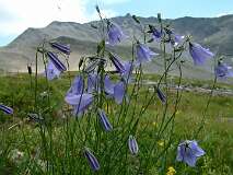 314: 2_DSCF0516
