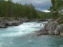 355: 2_DSCF0597
