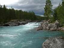 356: 2_DSCF0598