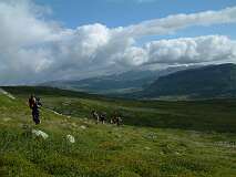 368: 2_DSCF0627