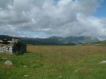 375: 2_DSCF0635