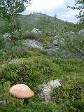 380: 2_DSCF0659