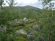 381: 2_DSCF0661