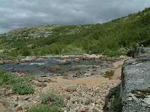 383: 2_DSCF0664