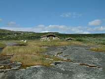390: 2_DSCF0678