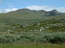 391: 2_DSCF0679