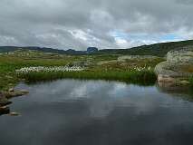 392: 2_DSCF0688