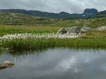 393: 2_DSCF0689