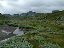 399: 2_DSCF0696
