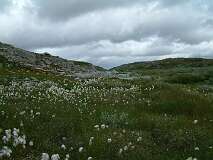 400: 2_DSCF0697