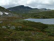 402: 2_DSCF0708
