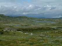 403: 2_DSCF0710