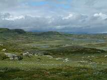 405: 2_DSCF0712
