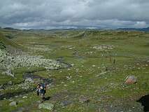 409: 2_DSCF0717