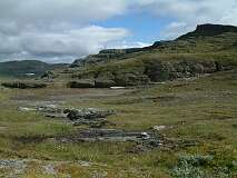 417: 2_DSCF0725