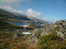 441: 2_DSCF0769