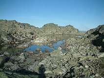 452: 2_DSCF0782