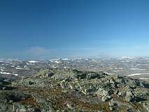 463: 2_DSCF0800